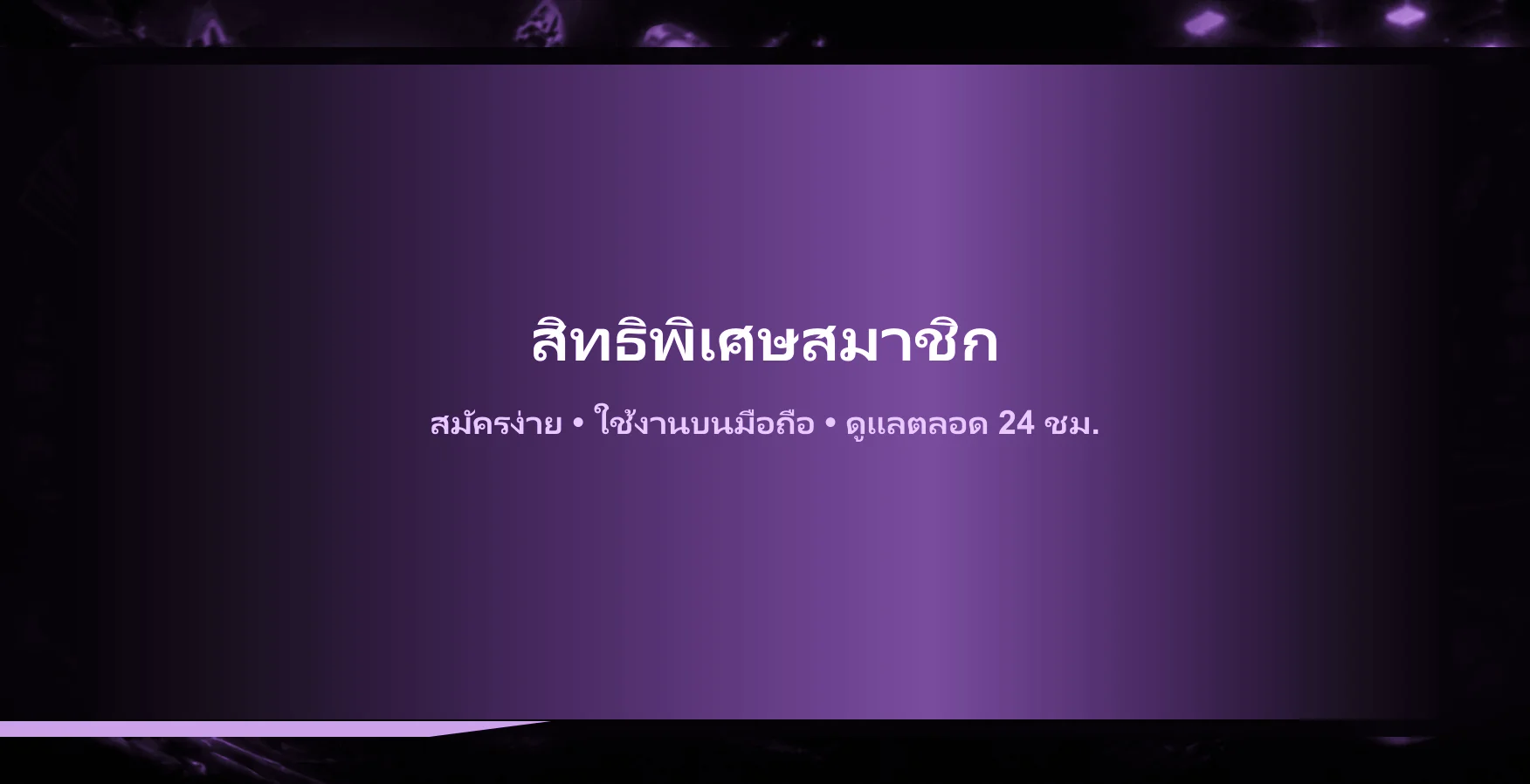 paradise1club banner